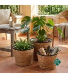 Σετ 3 τεμ. Ψάθινα Καλάθια Straw