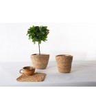 Planter Jute Round Medium (18x12x15) Κασπώ Planter Jute Round Medium (18x12x15) Κασπώ